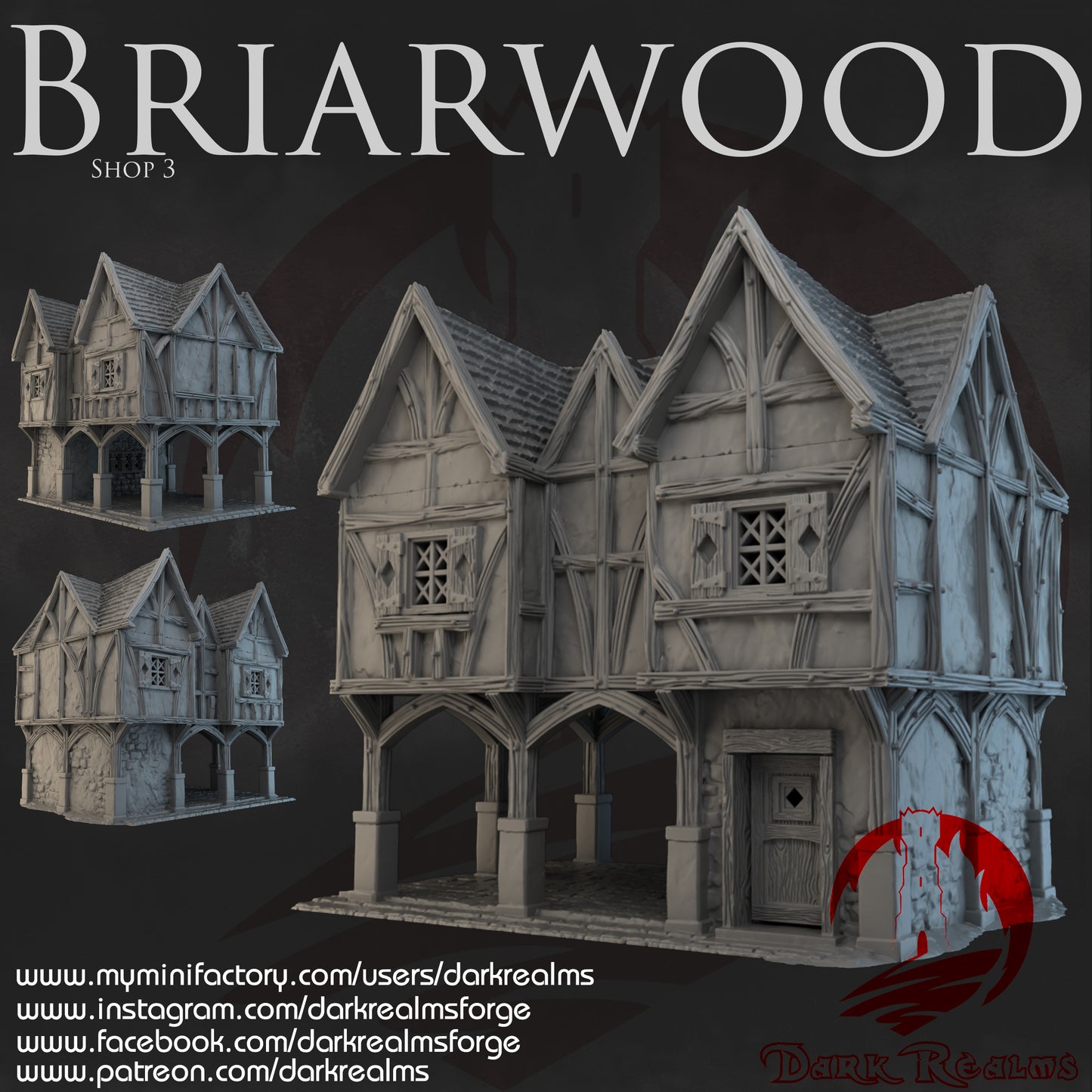 Briarwood Shop 3 by Dark Realms in 32mm, 28mm, 15mm Scale 3D Printed Scenery for Wargaming Dnd and Warhammer
