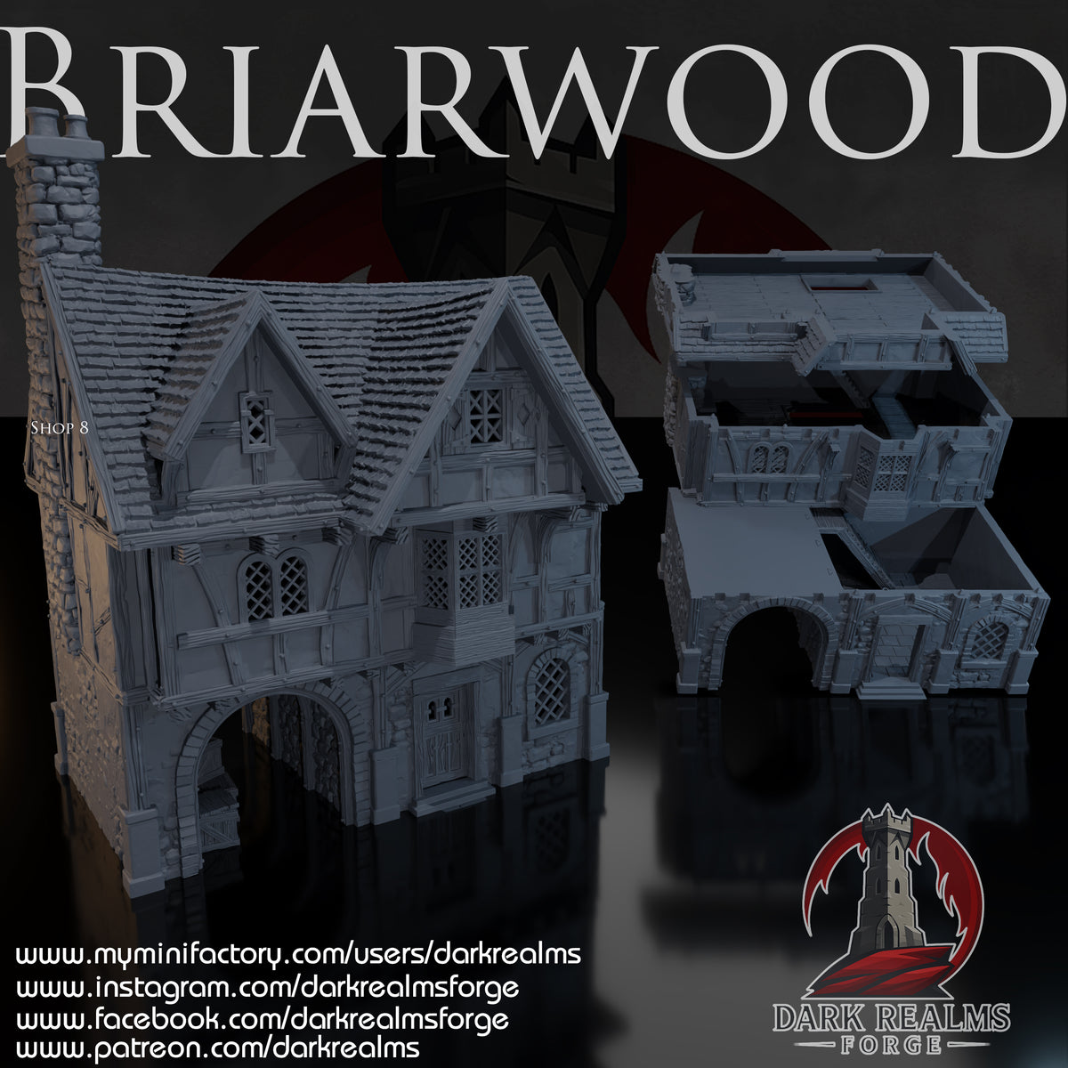 Briarwood Shop 8 by Dark Realms in 32mm, 28mm, 15mm Scale 3D Printed Scenery for Wargaming Dnd and Warhammer