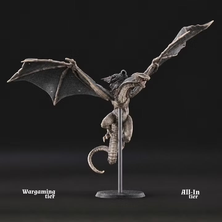 Generic Wraith on Wyvern