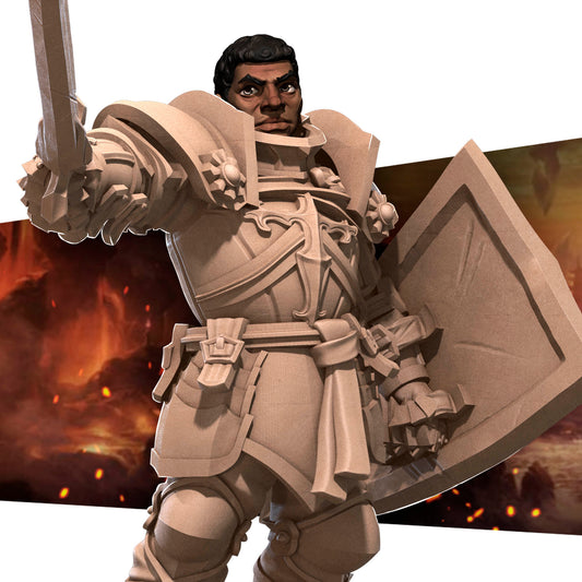 Hero Paladin