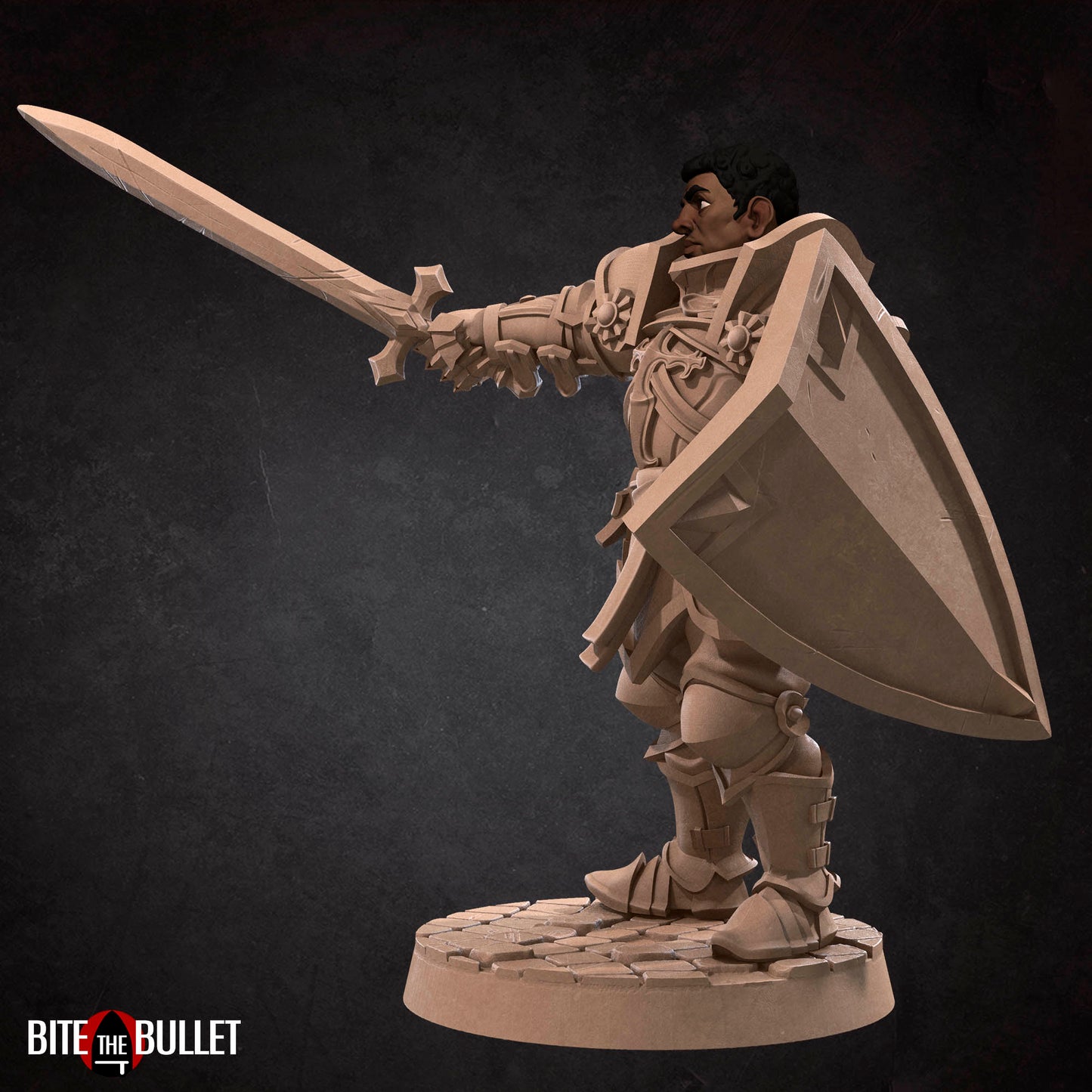 Hero Paladin
