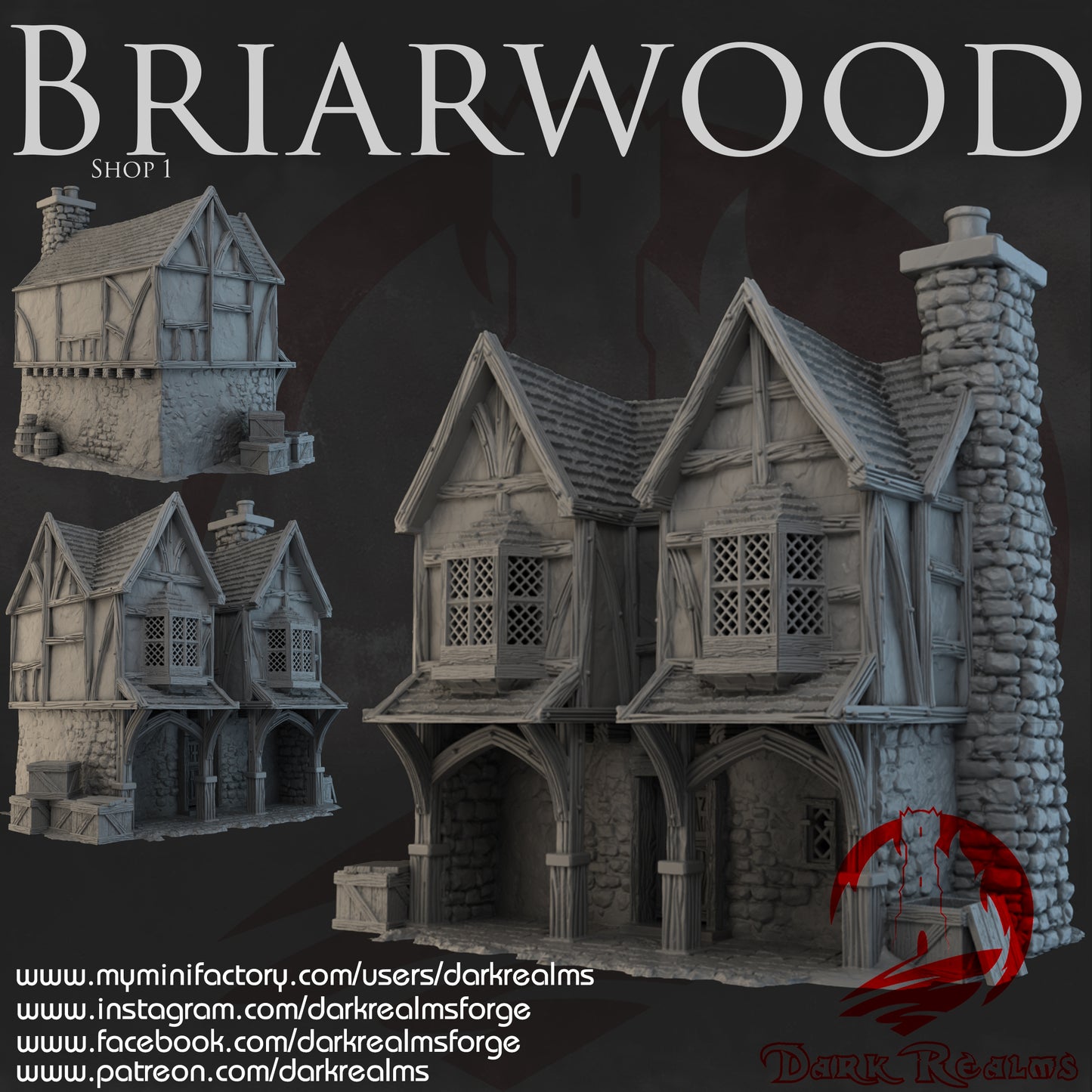 Briarwood Shop 1 by Dark Realms in 32mm, 28mm, 15mm Scale 3D Printed Scenery for Wargaming Dnd and Warhammer