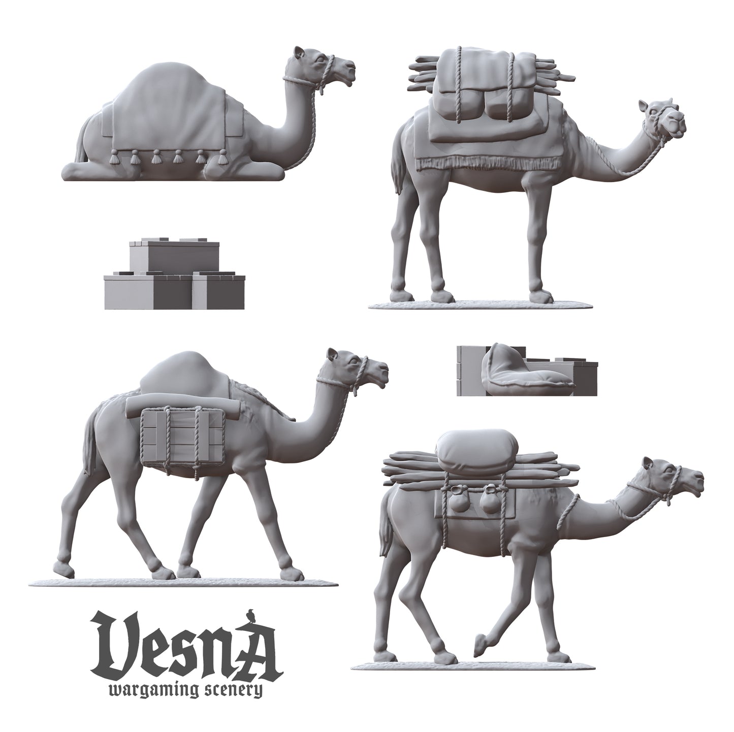 Pack Camels