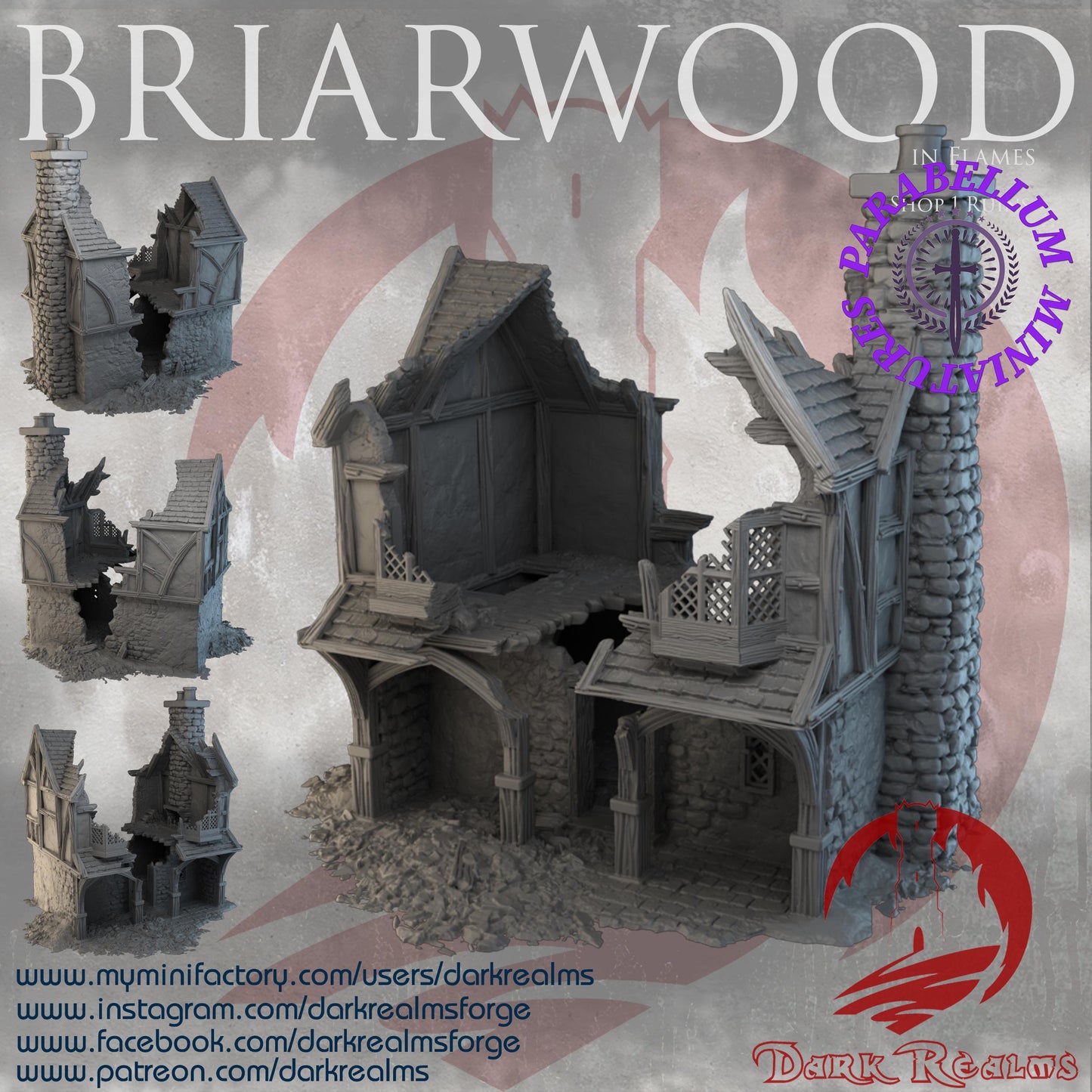 Village shop 1 ruins (Briarwood by DarkRealms) 32mm, 28mm, 15mm Scale 3D Printed Scenery for Wargaming Dnd and Warhammer