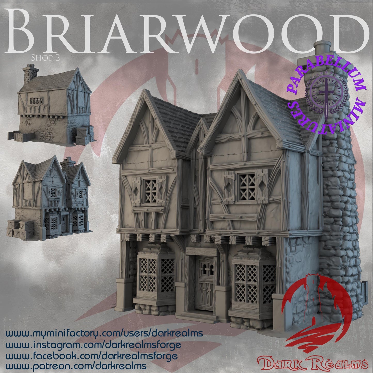 Village Shop 2 (Briarwood by DarkRealms) 32mm, 28mm, 15mm Scale 3D Printed Scenery for Wargaming Dnd and Warhammer