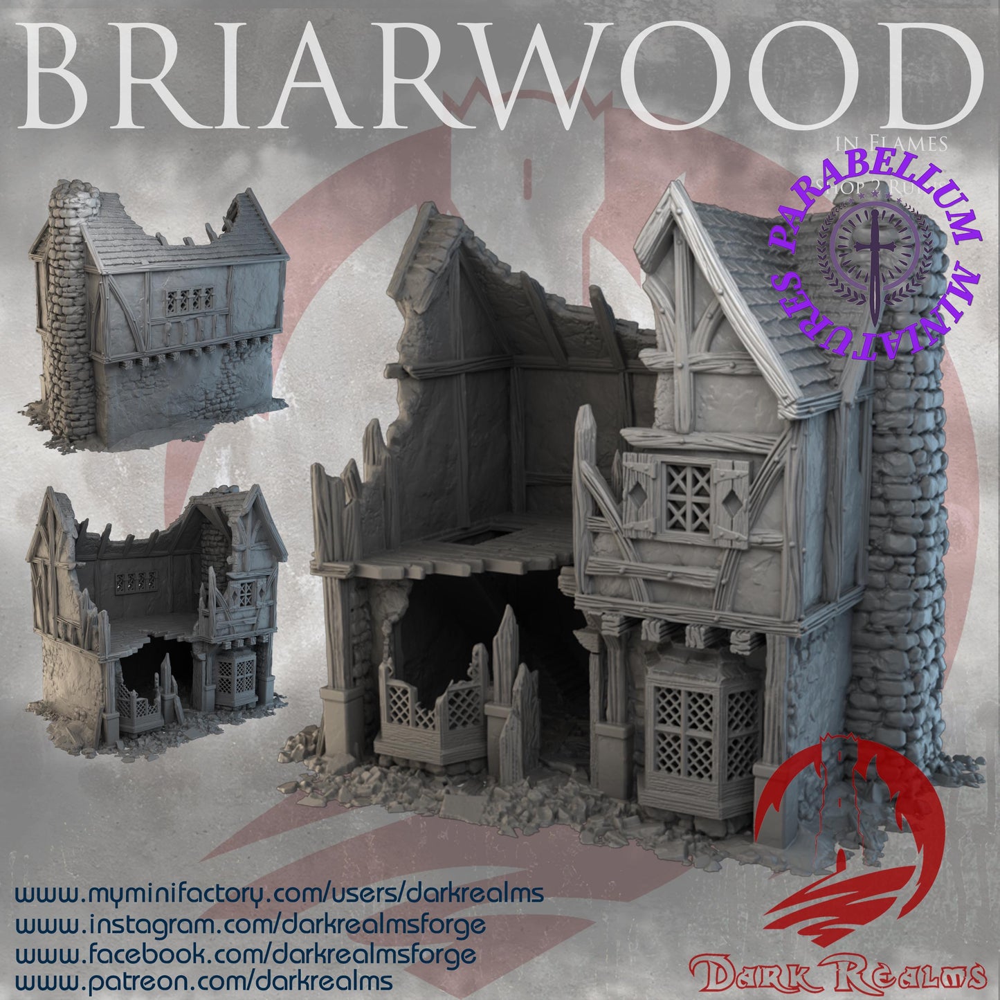 Village shop 2 ruins (Briarwood by DarkRealms) 32mm, 28mm, 15mm Scale 3D Printed Scenery for Wargaming Dnd and Warhammer