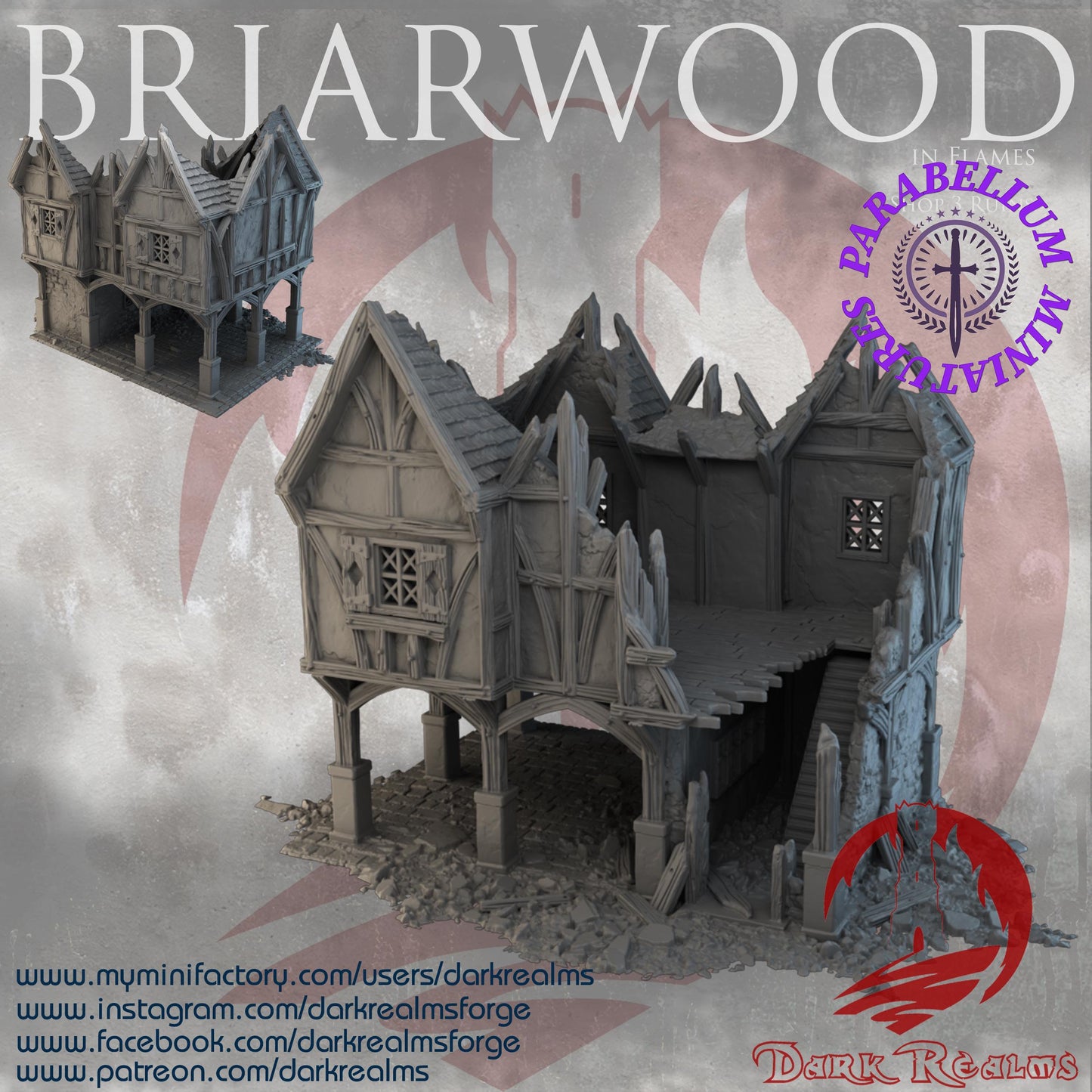 Village shop 3 ruins (Briarwood by DarkRealms) 32mm, 28mm, 15mm Scale 3D Printed Scenery for Wargaming Dnd and Warhammer