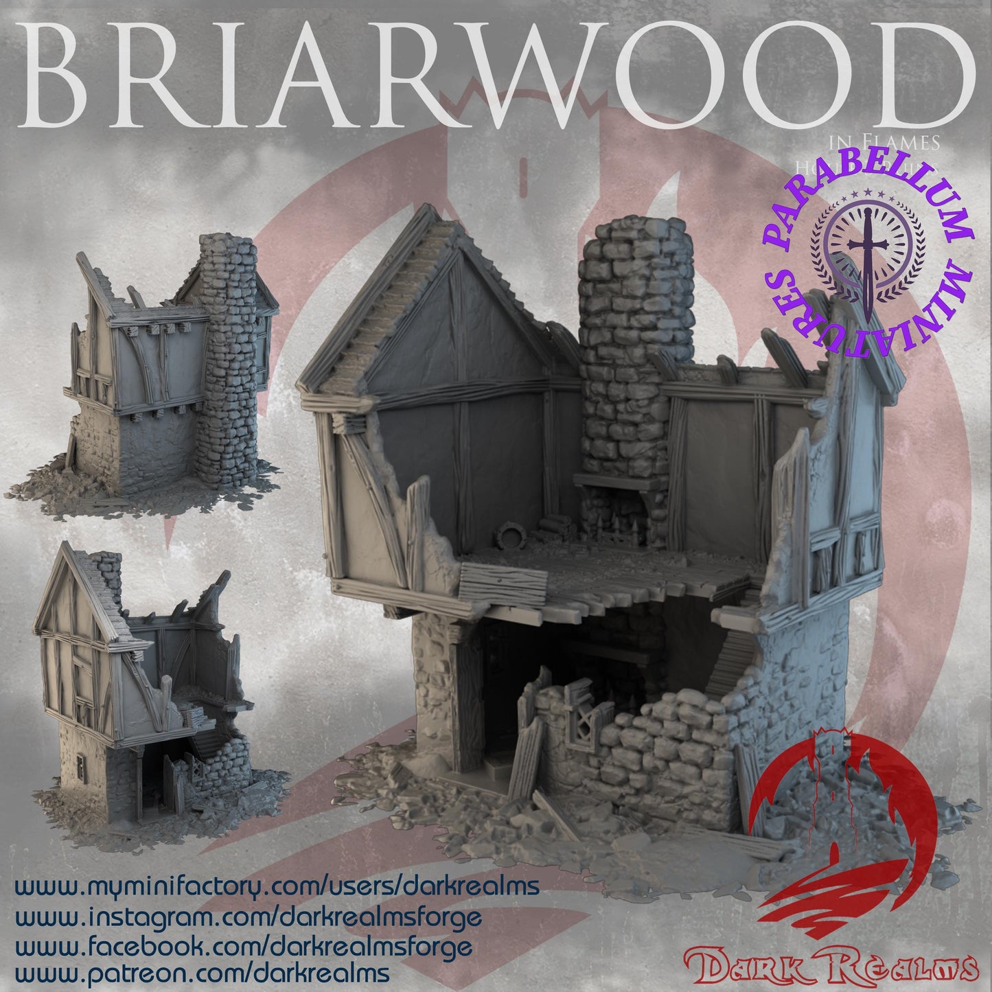 Village House 3 ruins (Briarwood by DarkRealms) 32mm, 28mm, 15mm Scale 3D Printed Scenery for Wargaming Dnd and Warhammer