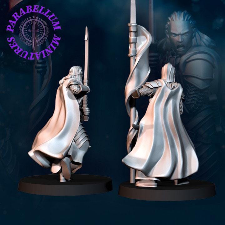 Bloody Elf Commander set