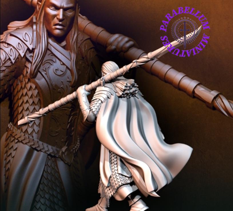 Armoured wood elf captain with spear