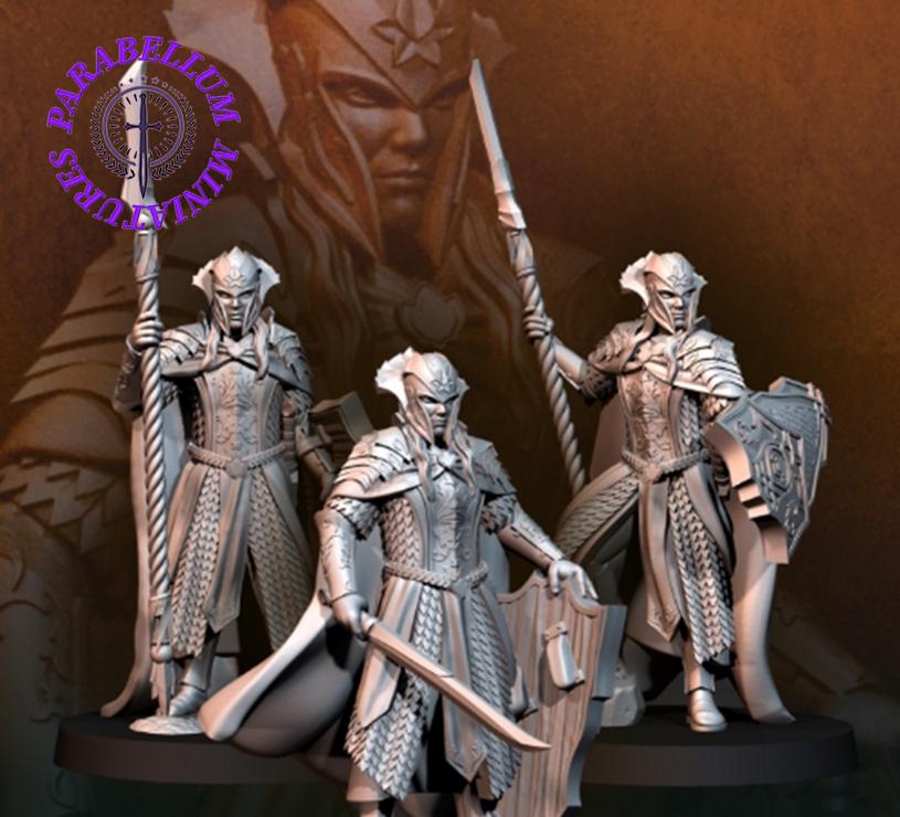 Wood Elf Kings Guard