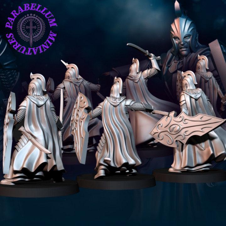 6x Bloody Elf warriors with Sword and Shield
