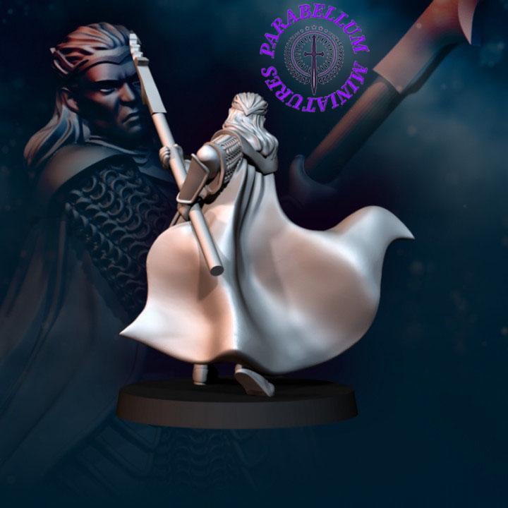 Bloody Elf King foot and mounted