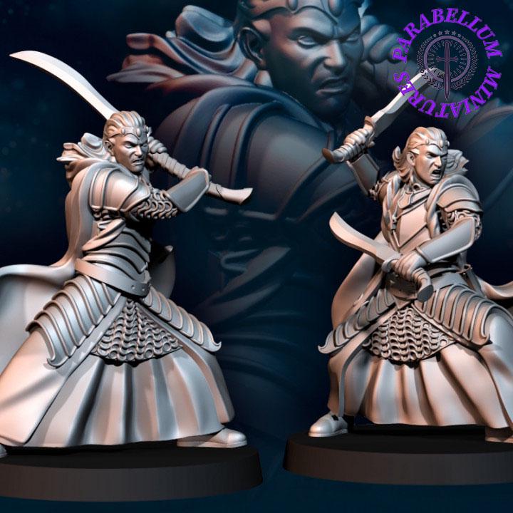 Bloody Elf Brothers - foot and mounted