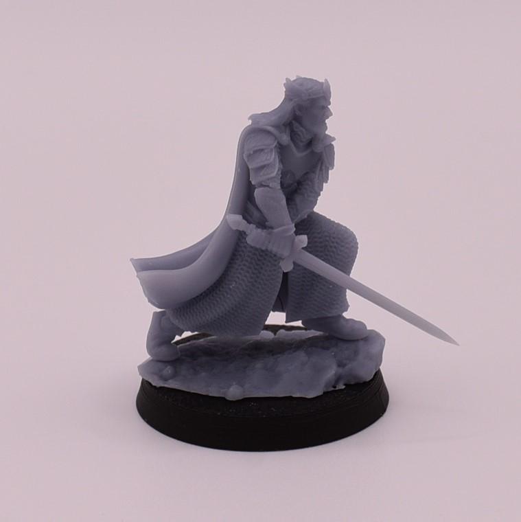 High King of Grey Castle mtd and foot