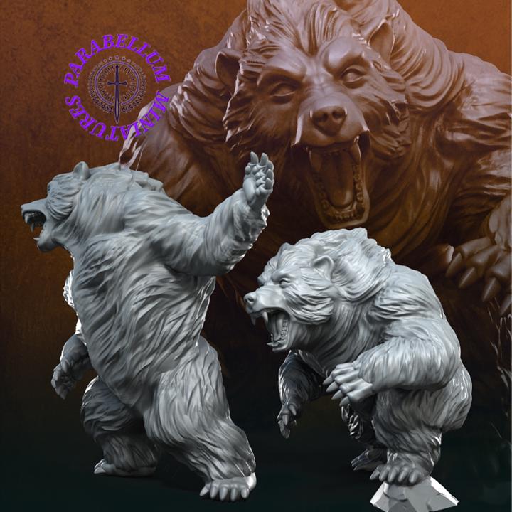 Giant Bears