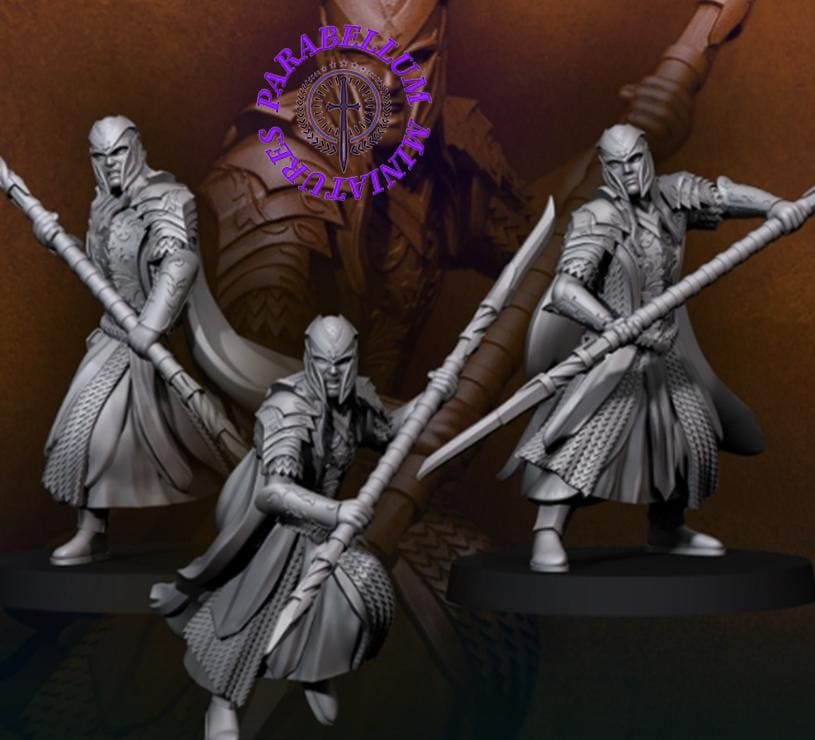 Armoured wood elves with spear