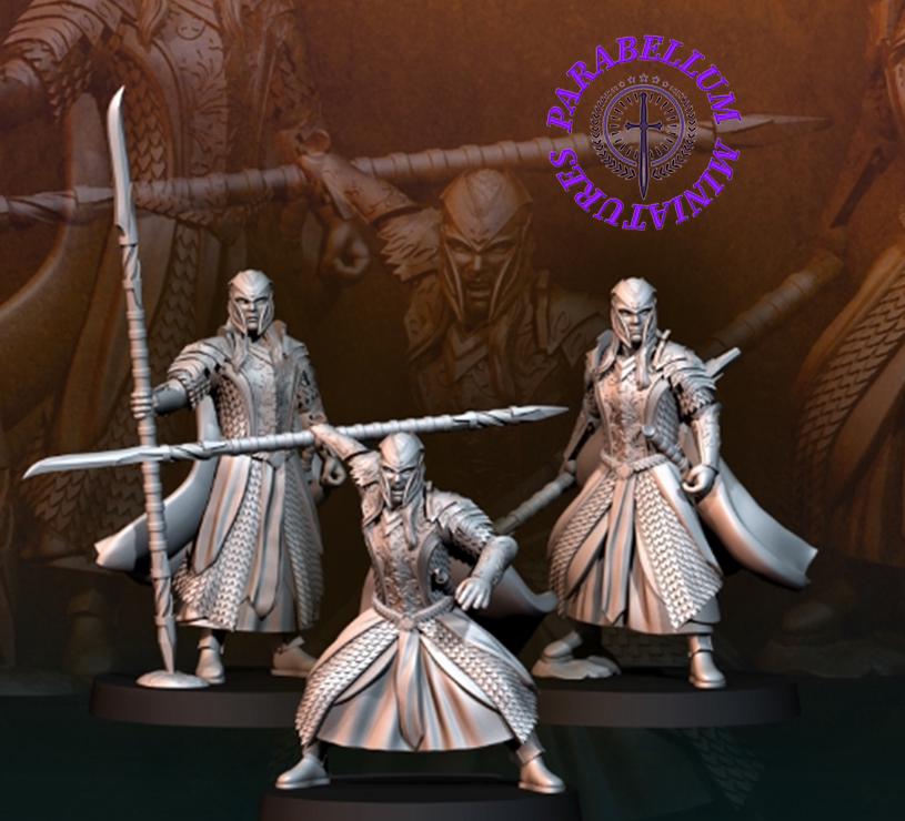 Armoured wood elves with spear