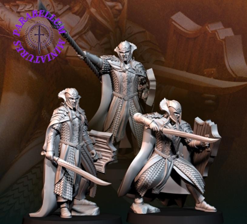 Wood Elf Kings Guard