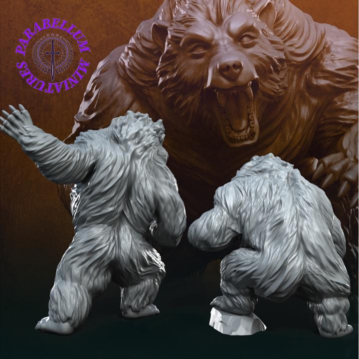 Giant Bears