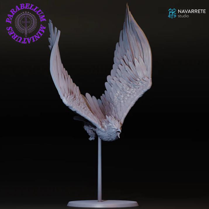 Great Eagle - pose 1