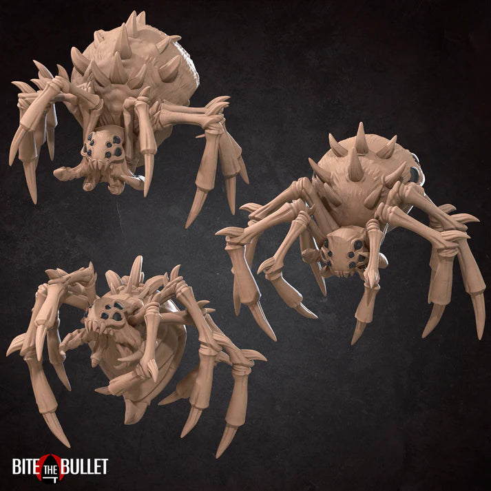 Spider Pack