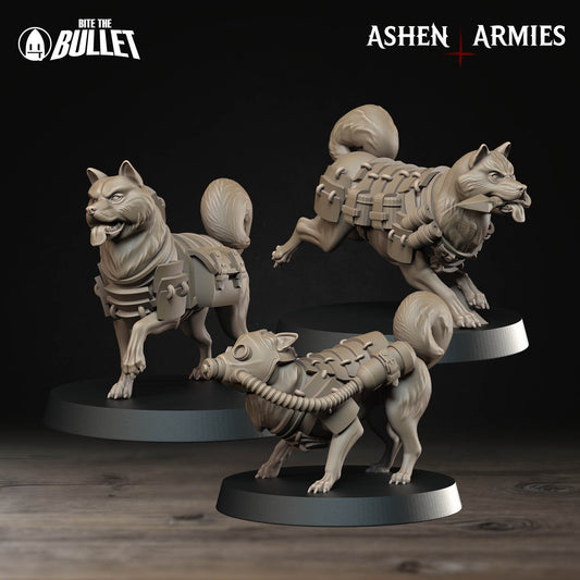 holy shogunate combat dogs