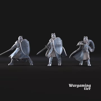 6x High Human warriors with sword and shield
