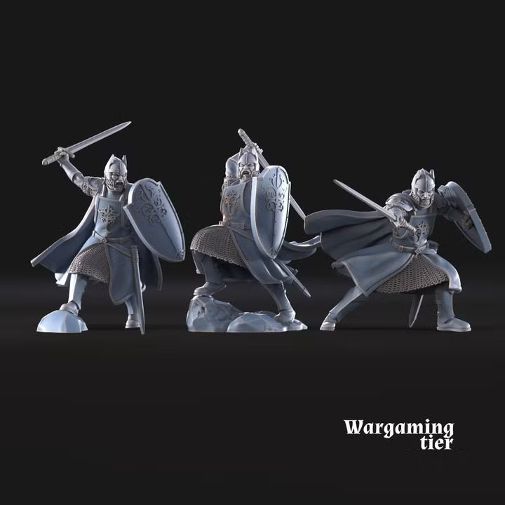 6x High Human warriors with sword and shield