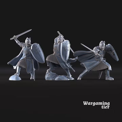 6x High Human warriors with sword and shield
