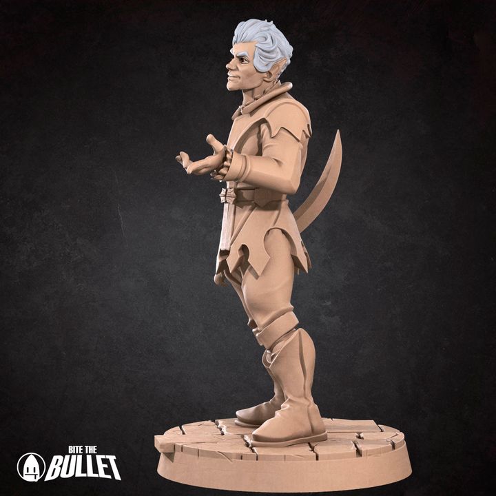 Neil the vampire rogue