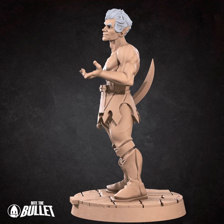 Neil the vampire rogue