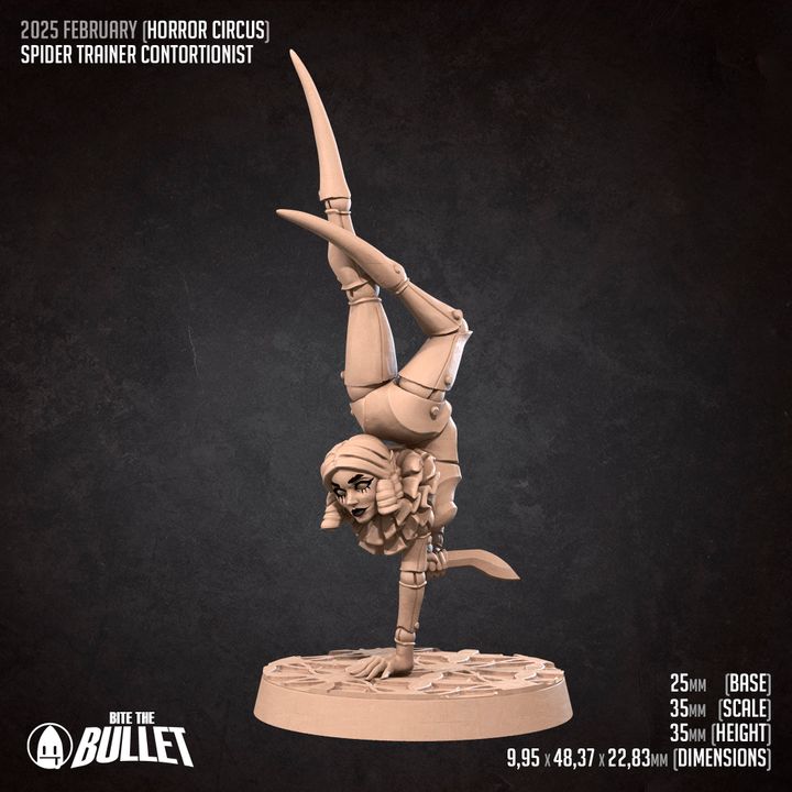 Spider Trainer Contortionist