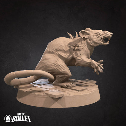 Giant Rats graveyard minions