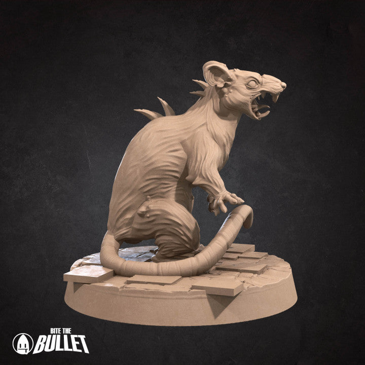 Giant Rats graveyard minions