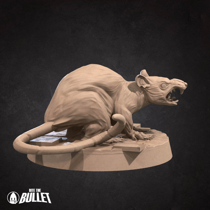 Giant Rats graveyard minions