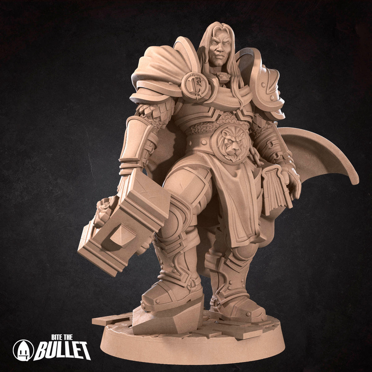 Human Prince Paladin