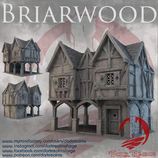 Briarwood Shop 3 by Dark Realms in 32mm, 28mm, 15mm Scale 3D Printed Scenery for Wargaming Dnd and Warhammer
