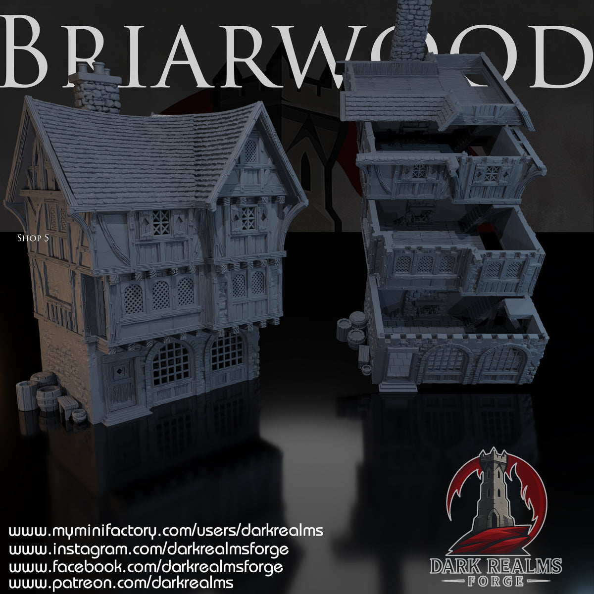 Briarwood Shop 5 by Dark Realms in 32mm, 28mm, 15mm Scale 3D Printed Scenery for Wargaming Dnd and Warhammer
