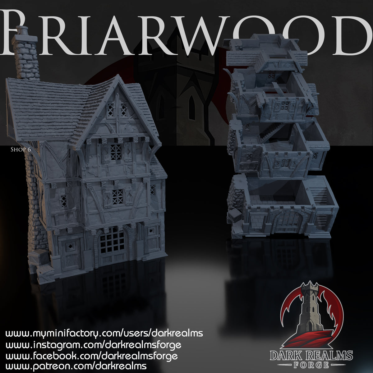 Briarwood Shop 6 by Dark Realms in 32mm, 28mm, 15mm Scale 3D Printed Scenery for Wargaming Dnd and Warhammer