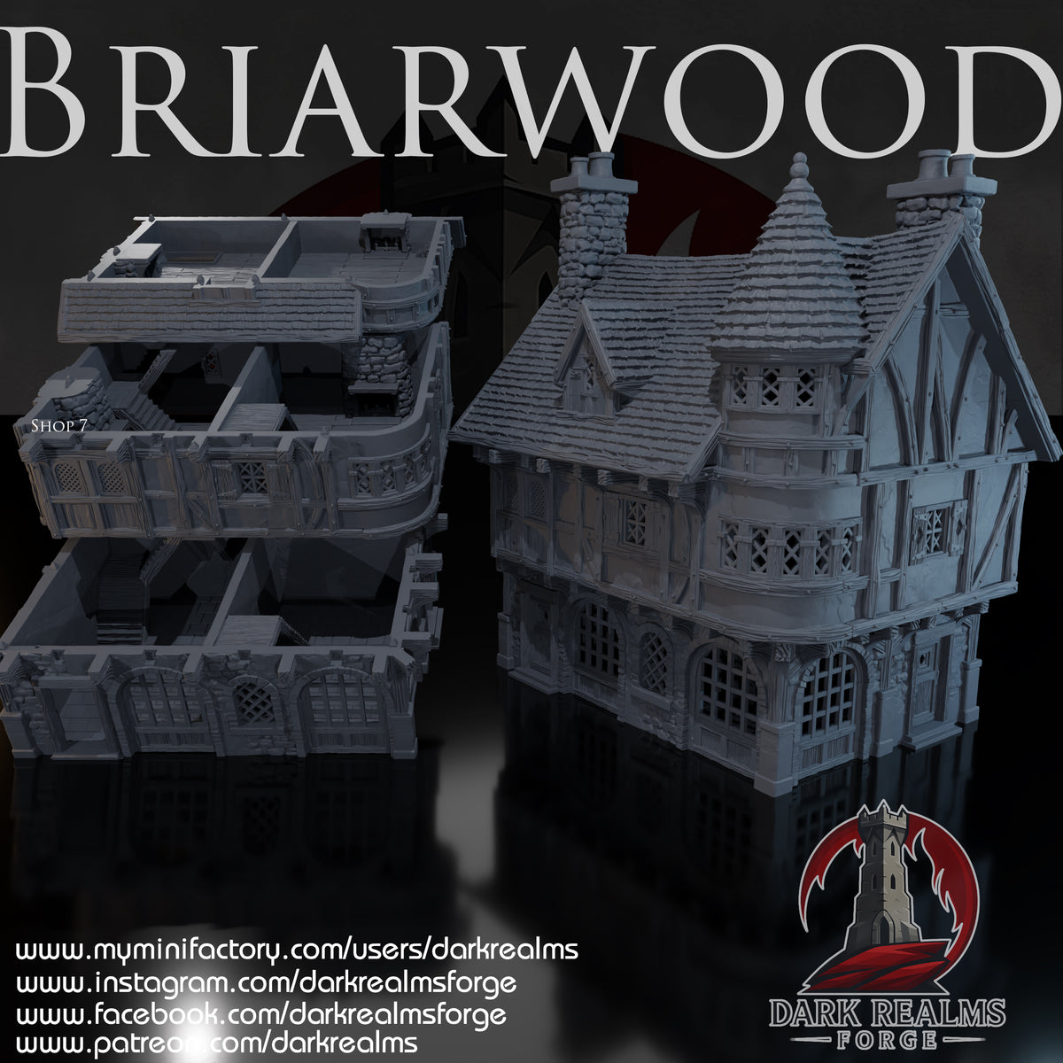 Briarwood Shop 7 by Dark Realms in 32mm, 28mm, 15mm Scale 3D Printed Scenery for Wargaming Dnd and Warhammer