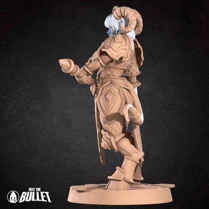 Celestial Vindicator