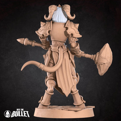 Celestial Vindicator