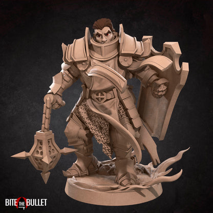 Hero Crusader