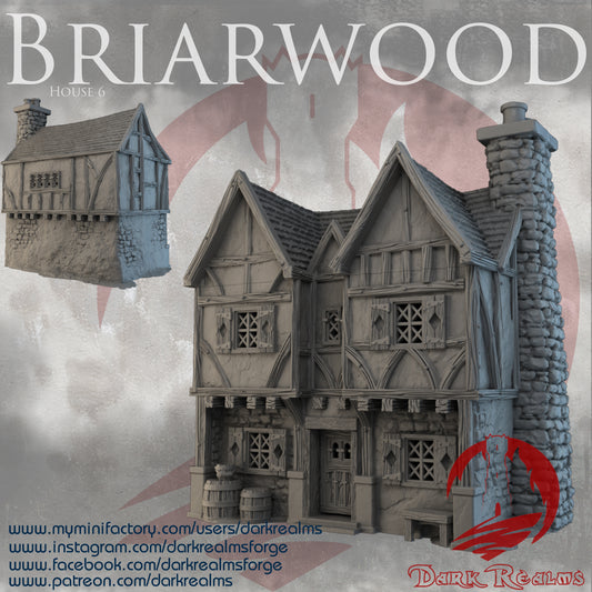 Briarwood House 6 - D&D Fantasy Terrain 28mm Scale