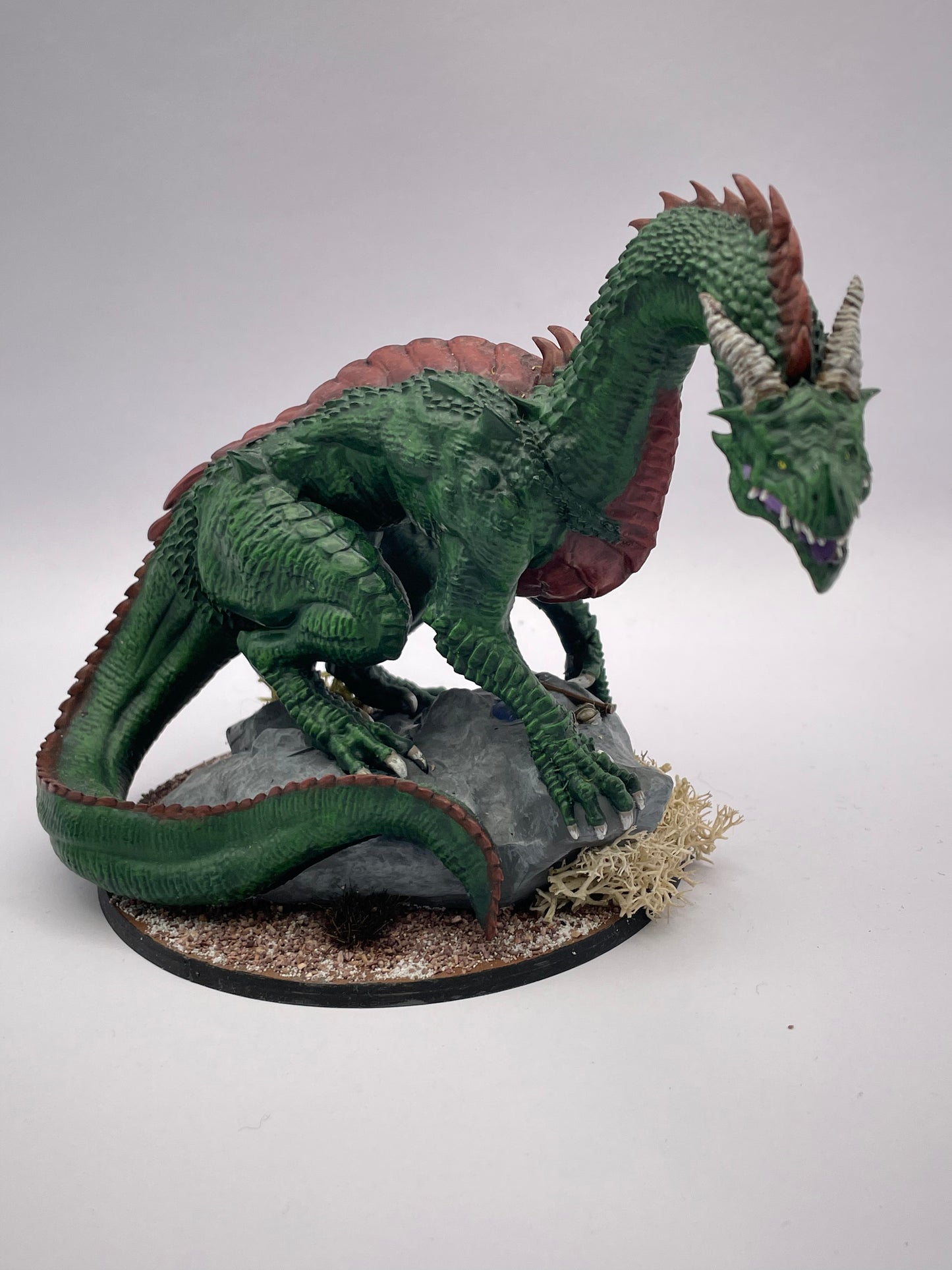 Mountain drake