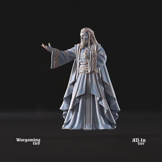 High Elven Lord of Ships pose 2