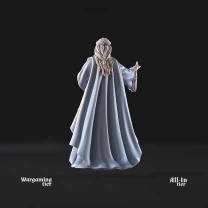 High Elven Lord of Ships pose 2