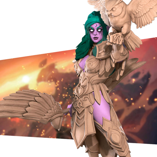 Night Warrior Priestess