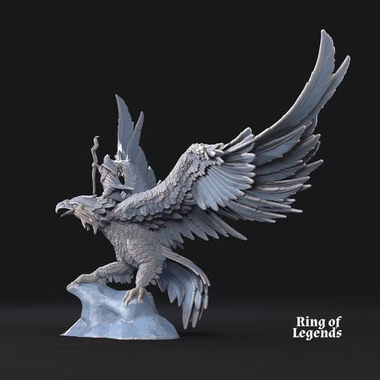 Mage on giant eagle